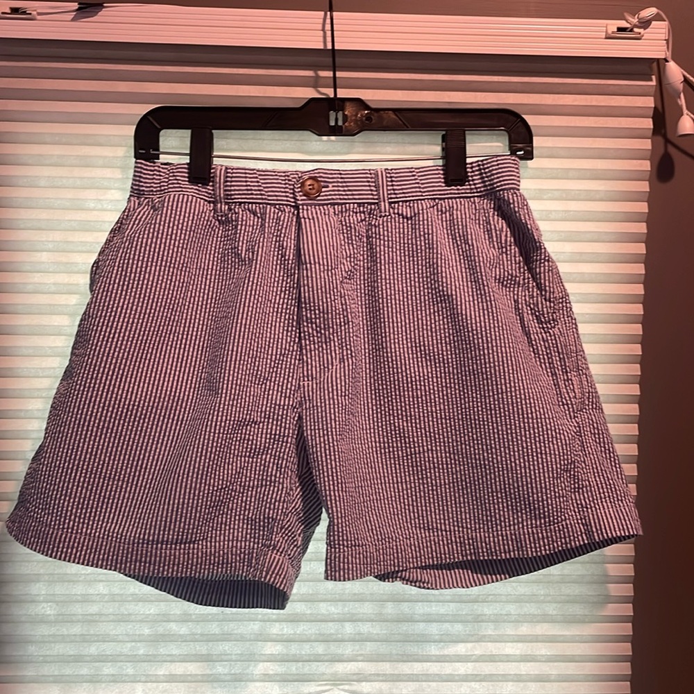 Men’s Seersucker Chubbies Shorts Size Medium